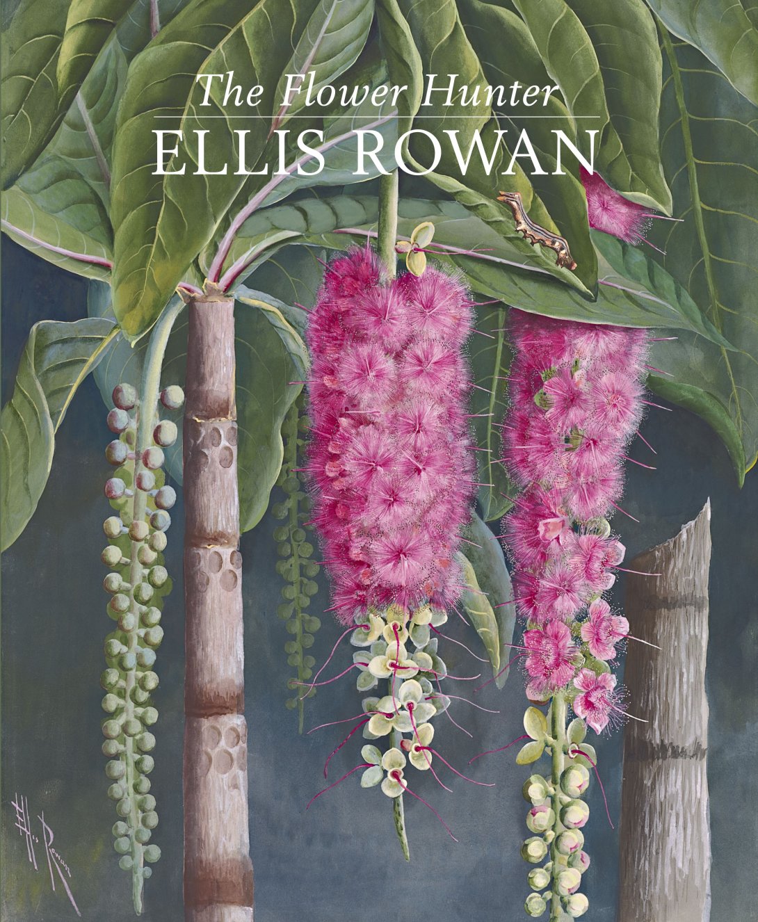 The Flower Hunter book cover. An Ellis Rowan image with large green leaves and purple flowers and greenery hanging down.