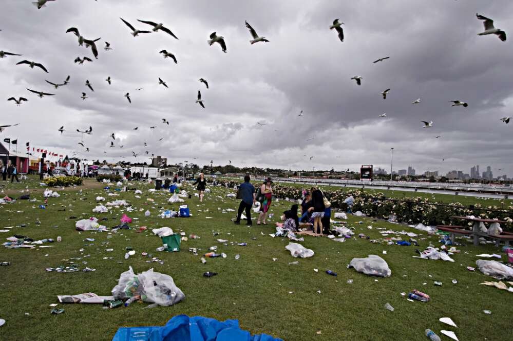 Rubbish litters the lawn next to a racetrack. Seagulls fly overhead.