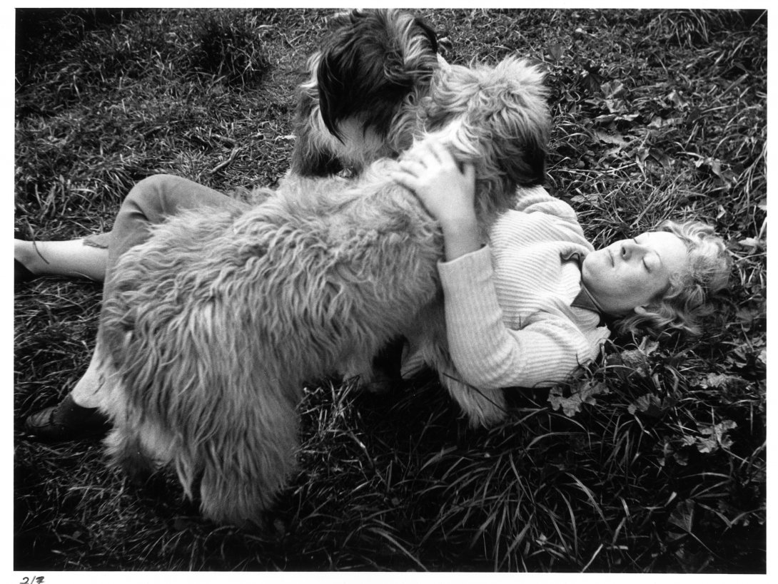 A woman with two medium sized dogs playing on the grass.