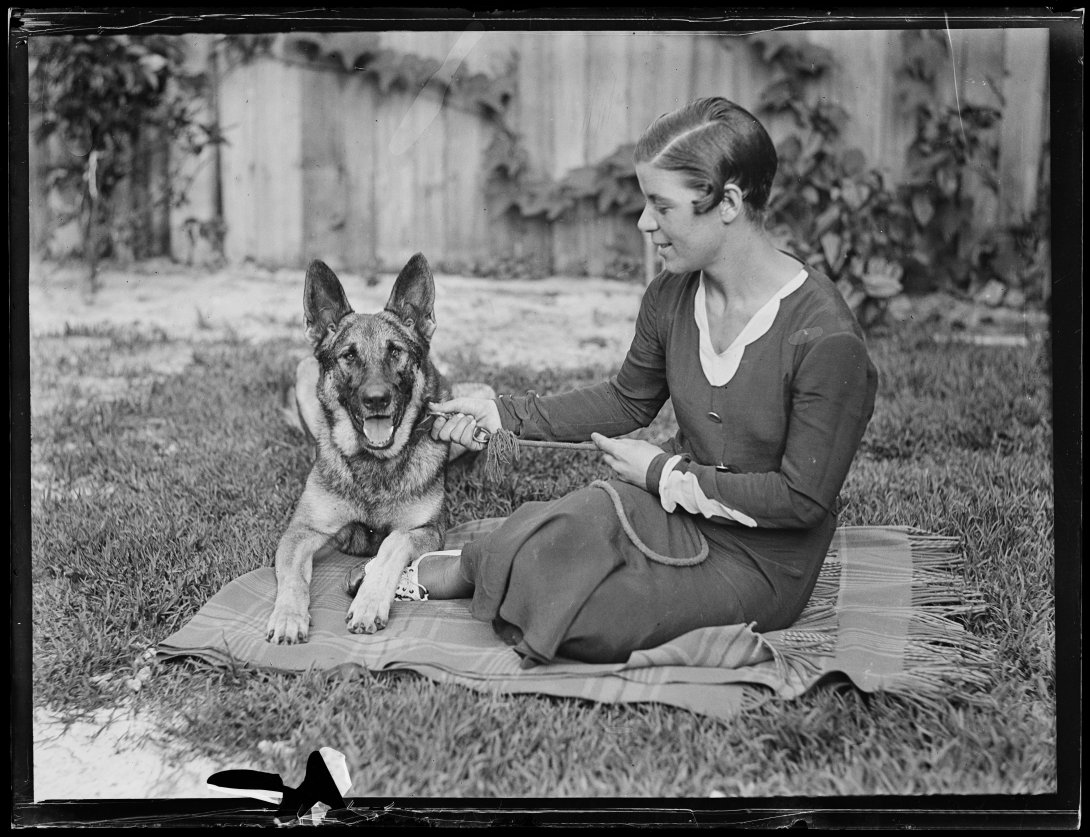 A woman and a German Shepherd dog sitting on a picnic rug outside. 