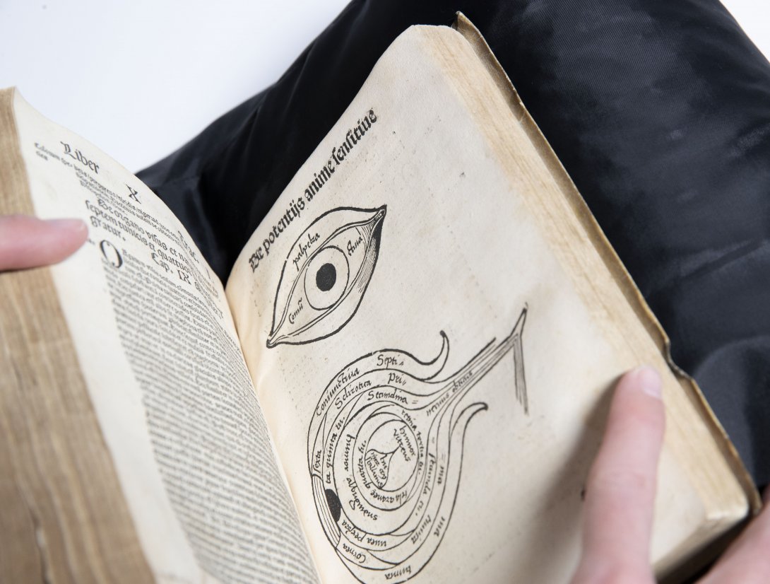 A rare book open showing a medical illustration of an eye facing forward and the side view of an eye with descriptive labels.