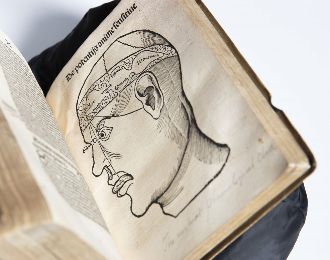 A rare book open to a medical illustration of the side of a human head. 