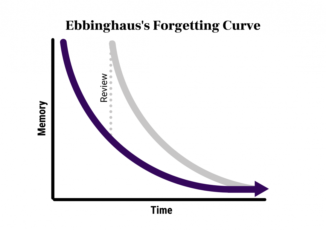 Title reading 'Ebbinghaus's Forgetting Curve' above simple graph. Y-Axis depicts memory while x-axis depicts time, and a bold arrow going from the top left corner to the bottom right corner. A dotted line goes straight up from the mid-point of the arrow, with text reading 'revision', and another arrow going from the top to the bottom connected to it