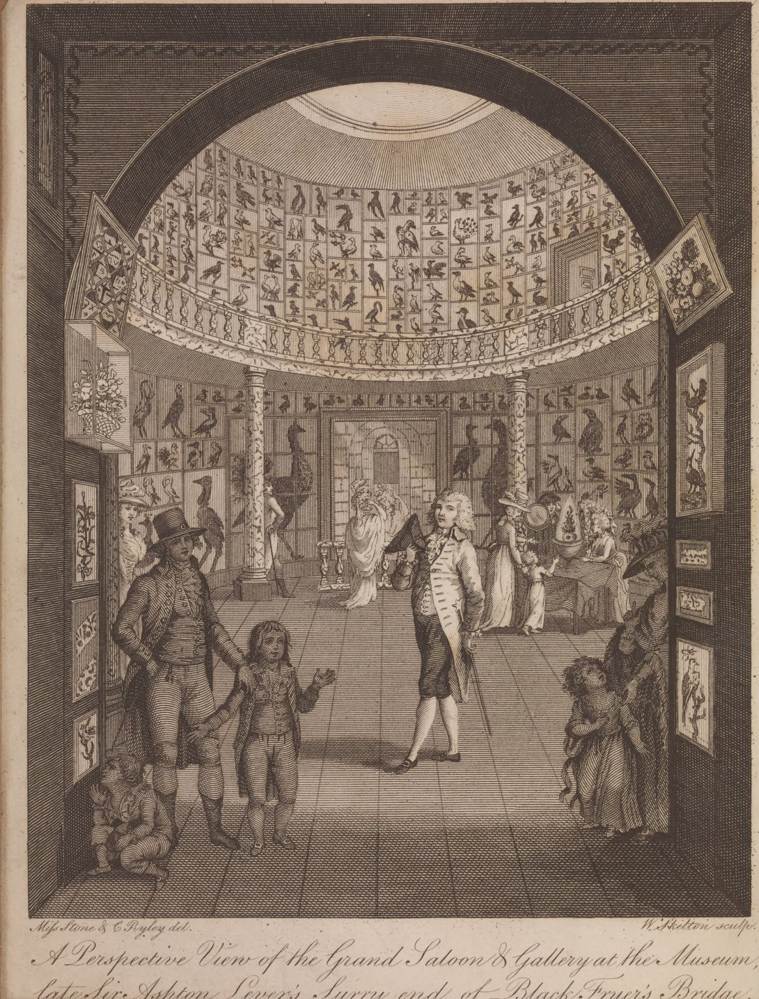 Frontispiece to A Companion to the museum, late Sir Ashton Lever's), London: 1790