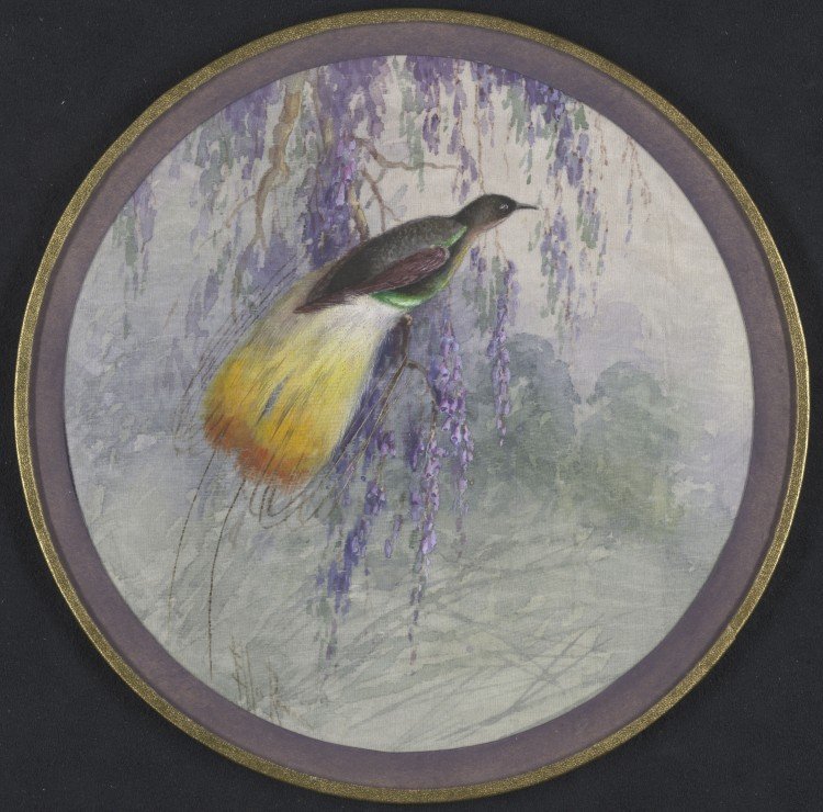 Round painting on fabric of a small dark feathered bird with bright yellow tail feathers and a green underbelly sitting in a purple-flowering tree